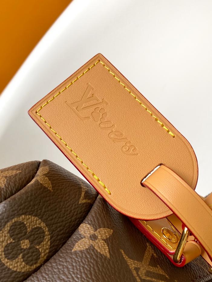 Borsa a mano Louis Vuitton Top originale con fasciatoio dinamico