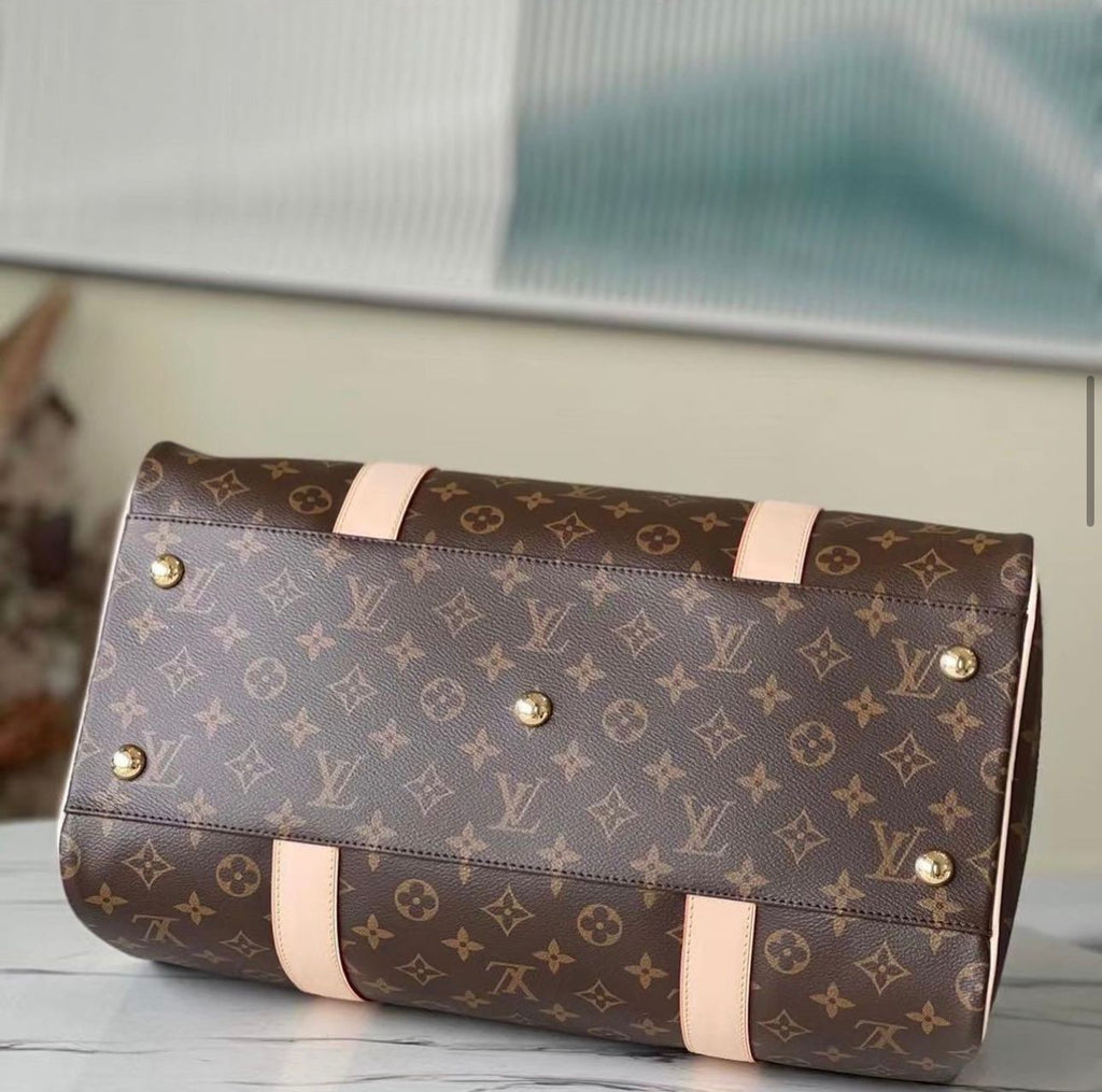 Louis Vuitton Borsa Carryall